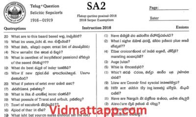 SA2 Telugu Question Paper 2018 2019