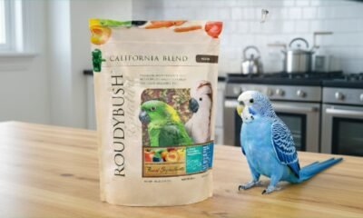 Stop Guessing and Start Feeding Right: The Truth About RoudyBush Daily Maintenance Bird Food
