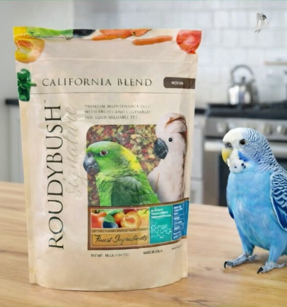 Stop Guessing and Start Feeding Right: The Truth About RoudyBush Daily Maintenance Bird Food